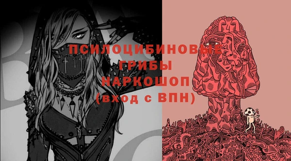 spice Белокуриха