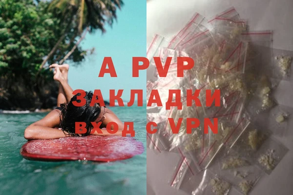 spice Белокуриха