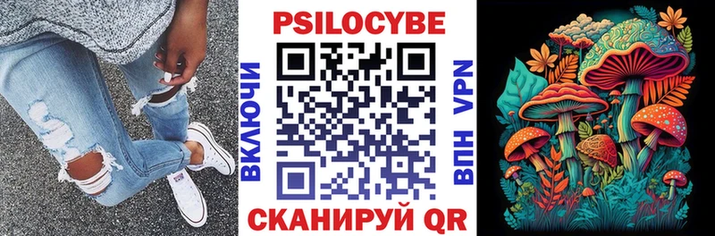 Купить где Пучеж Галлюциногенные грибы мухоморы